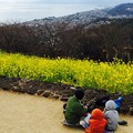 相模湾見下ろす。。二宮町吾妻山公園。。ちょっと早い春。。20160131