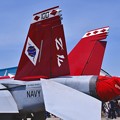 VFA-102diamondbacks F/A-18F superホーネット NF100の尾翼
