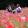 写真: ポピー畑で女子たちはしゃぐ。。くりはま花の国 20160529
