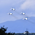写真: 撮って出し。。三沢基地航空祭予行 ブルーインパルステイク・オフ 9月10日