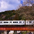 写真: 大井川鐵道にアルミボディの列車 元東急7200系 崎平鉄橋