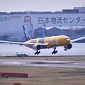 写真: 羽田ランウェイ34Lアプローチ 伊丹から戻りANA C-3PO JET 20170325
