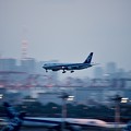 写真: 夕暮れの羽田空港ランウェイ22アプローチ ANA767 20170527