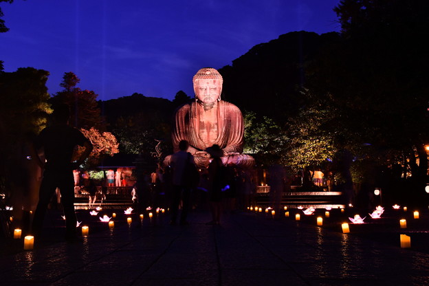 写真: 撮って出し。。長谷灯り 鎌倉大仏ライトアップ 8月26日
