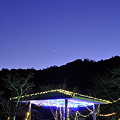 写真: 河村瑞賢公園の夜景-9
