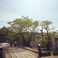 写真: 篠山城跡入口