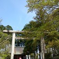 写真: 青山神社