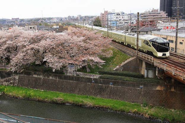 写真: JR中央線と残堀川の桜　【パート2】