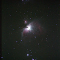 写真: M42（オリオン座の散光星雲）