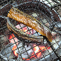 写真: 炭火で炙る鮭トバ