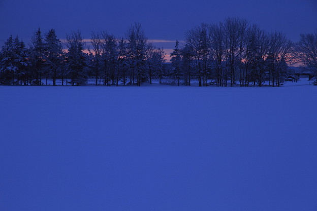 写真: 青い雪のあるところ