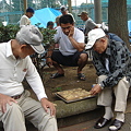 写真: 玉姫公園の中　将棋を指す男たち　DSC01625