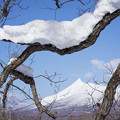 写真: 駒ヶ岳DSC00289_ed