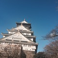 写真: 大阪城