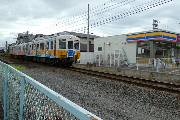 写真: コトちゃん電車