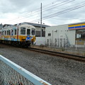 写真: コトちゃん電車