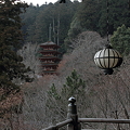 写真: 長谷型灯籠と五重塔
