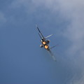 写真: 岐阜基地航空祭 20 F-15