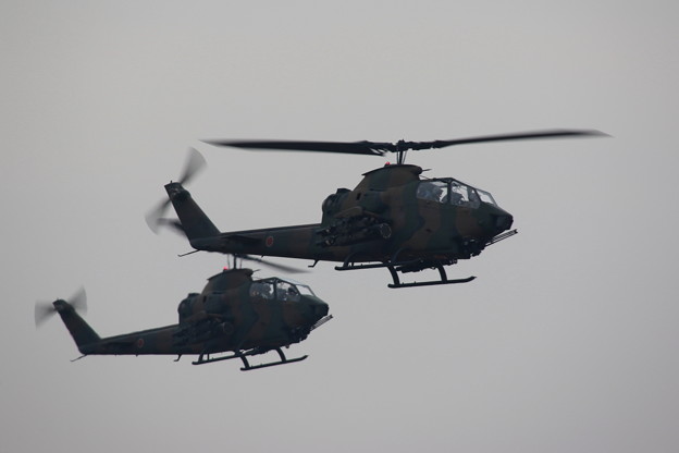 写真: 降下訓練始め6 AH-1