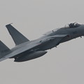 写真: 百里基地航空祭41 F-15
