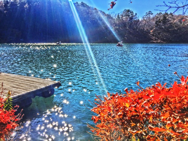 写真: 煌く湖面・・・四尾連湖