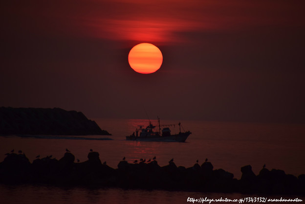 0064 漁船を見送る夕陽とカモメ