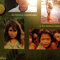 写真: グアラニ族の人々