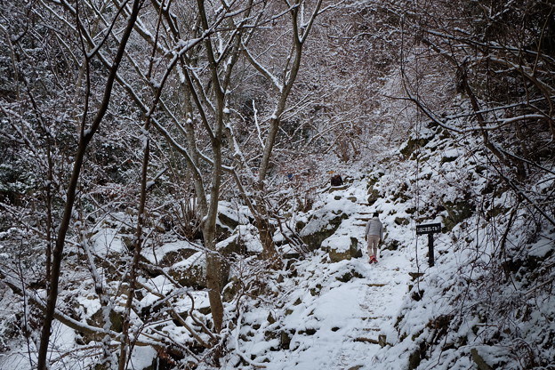 写真: オウネンの滝上流の雪景色