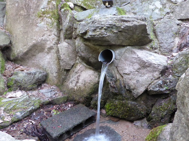 松か井の水　採水口