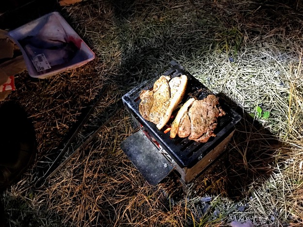 写真: 炭焼き猪肉ステーキ