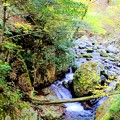 写真: 横行渓谷の滝