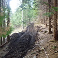 森林管理用の作業道