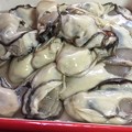 写真: 牡蠣の下処理