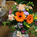 写真: ルビーとお花