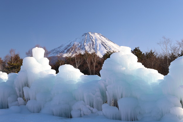 写真: 冬の富士に氷を添えて