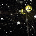 写真: Night when it snows