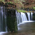 写真: 軽井沢の白糸の滝