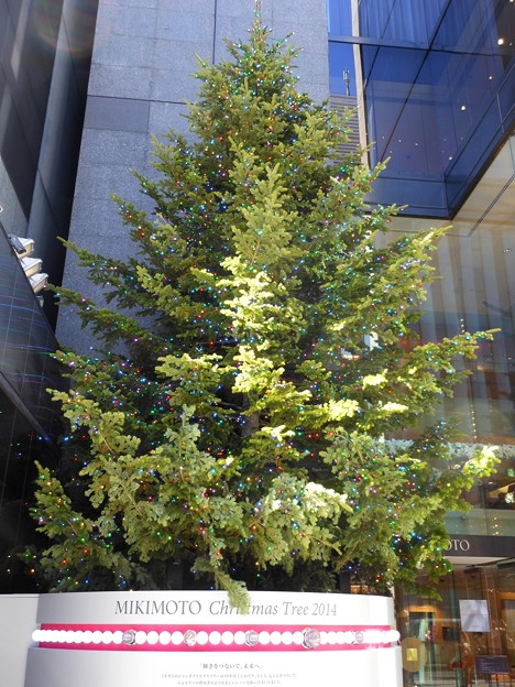 写真: 銀座四丁目＊ミキモトのクリスマスツリー