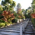 写真: 京都・知恩院の紅葉１