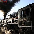 写真: 蒸気機関車
