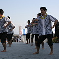 写真: 湘南祭2012