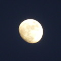 写真: 寒空に輝く月