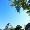 秋晴れの大阪城