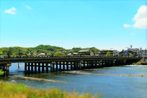 写真: 日本三古橋のひとつに数えられている 京都宇治橋