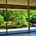 写真: 美しい日本庭園
