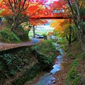 写真: 紅葉の名所と呼ばれる養父神社