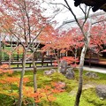 写真: 本坊中庭と紅葉