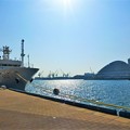 写真: 神戸新港第一突堤