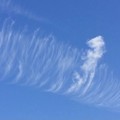 Photos: 空…今朝の雲