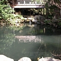 写真: 清水の池